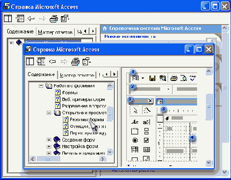   Microsoft Access
