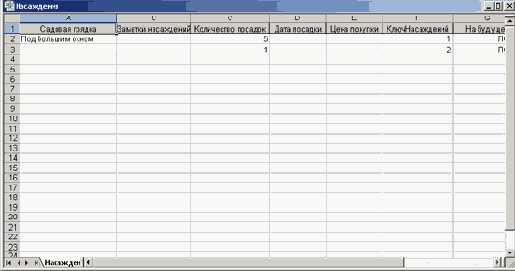    Excel 